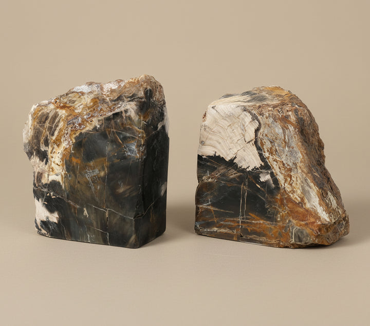 Two fossilized wood specimens on a white background with 'Vanik Living' branding.