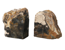 The Aeon Petrified Bookends Home Decor